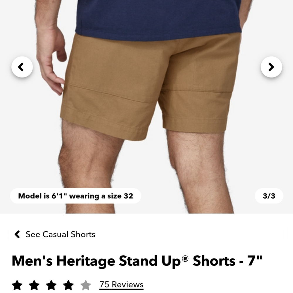 NWT Patagonia Men's Stand Up Shorts - 7"